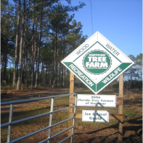 Tree Farm Certification