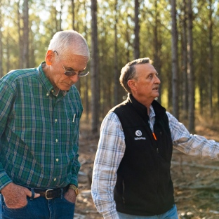 Forestry Consultation